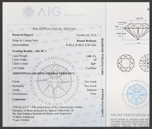 585 Gold Gleiter Anhänger 1,0ct, Top Wesselton G